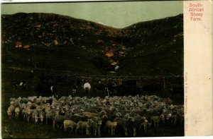 CPA AK South African Sheep Farm SOUTH AFRICA (833034)