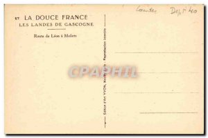 Old Postcard La Douce France Gascony Landes Route de Leon Moliets