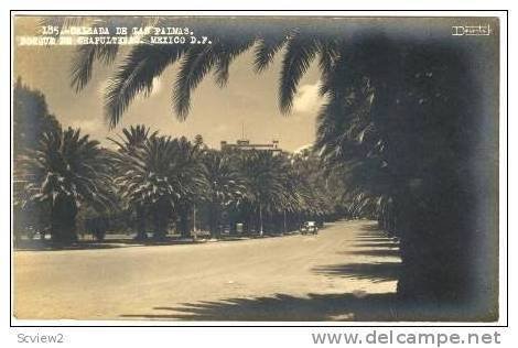 Real Photo: Calzada De Las Palmas, Bosque de Chapultepec, Federal District, M...