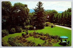 State View~Williamstown MA~Perennial Garden~Williams College~Vintage Postcard