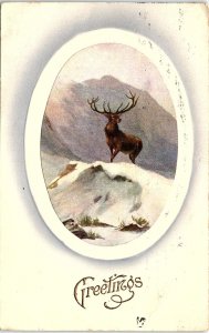 c1915 CHRISTMAS GREETINGS HUGE ELK DEER AUSTRALIA  EMBOSSED POSTCARD 41-155