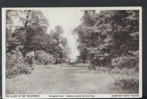 Middlesex Postcard - Hampton Court Palace - The Glade in The Wilderness  T4843