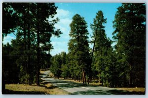 Flagstaff Arizona Postcard Ponderosa Pine Forest Exterior c1960 Vintage Antique