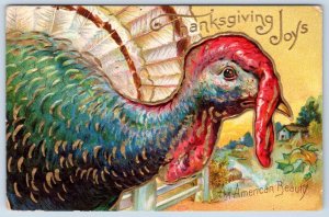 1911 THANKSGIVING JOYS AN AMERICAN BEAUTY TURKEY EMBOSSED GOLD EMBELLISHED CARD