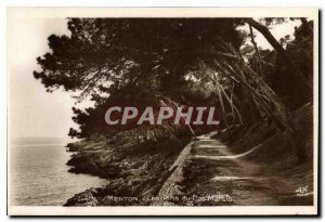 Old Postcard Menton Cap Martin Pins