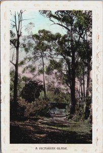 Australia A Victorian Glade Vintage Postcard C128