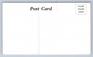 JH6/ Cincinnati Ohio Postcard c1940s The Willows Tourist Cabins 100