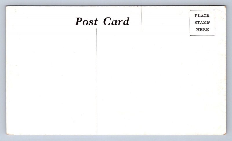 JH6/ Cincinnati Ohio Postcard c1940s The Willows Tourist Cabins 100