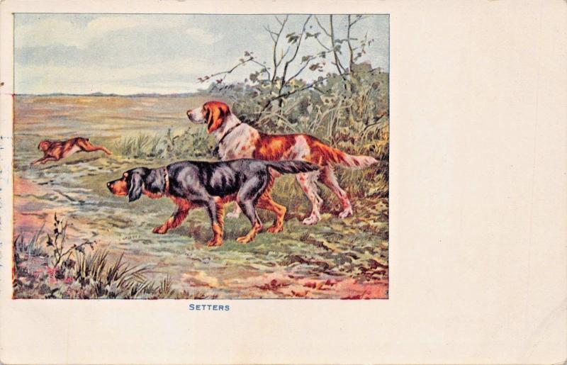 SETTERS SPOT RUNNING RABBIT-ARTIST DRAWN DOG POSTCARD 1900