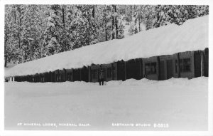 RPPC Mineral Lodge, Tehama County, CA Winter Scene c1950s Vintage Postcard