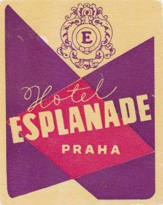 Czechoslovakia Praha Hotel Esplanade Vintage Luggage Label sk3343