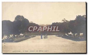 Postcard The Old Compiegne Avenue Park beautiful mountains