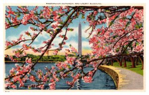 Postcard DC - Washington Monument and Cherry Blossoms