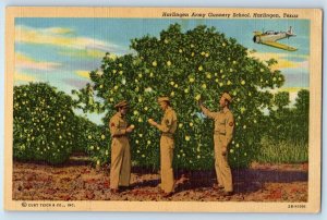 c1940 Harlingen Texas TX Vintage Postcard Army Gunnery School Harvesting Field