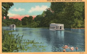 Vintage Postcard Glass Bottom Boats Beautiful Silver Springs Florida Attractions