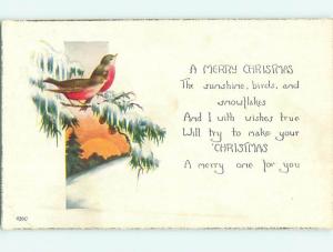 Unused Divided-Back christmas TWO RED & BROWN BIRDS ON A BRANCH v2308@