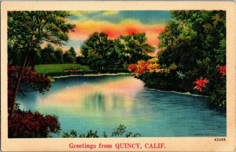 Scenic Greetings from Quincy CA Vintage Linen Postcard A25