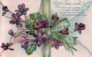 Vintage Postcard 1910 Violet I Am True I Tried to Pen A Greetings Purple Flowers