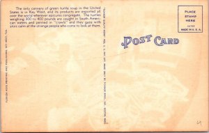 2~ca1940's Postcards Key West, FL Florida  TURTLE CRAWLS & BOAT Giant Turtles