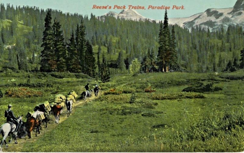 Reese's Pack Train Paradise Park Washington WA Unused Vintage Postcard D25