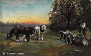 c.'07, Horse Drawn, Carting Timber, Logging, by Tuck, Old Postcard