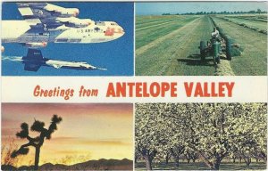 VTG Postcard, Antelope Valley, High Desert region of California's Mojave Desert