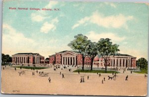 Postcard NY Albany State Normal College