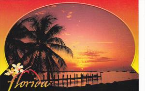 A Tropical Florida Sunset