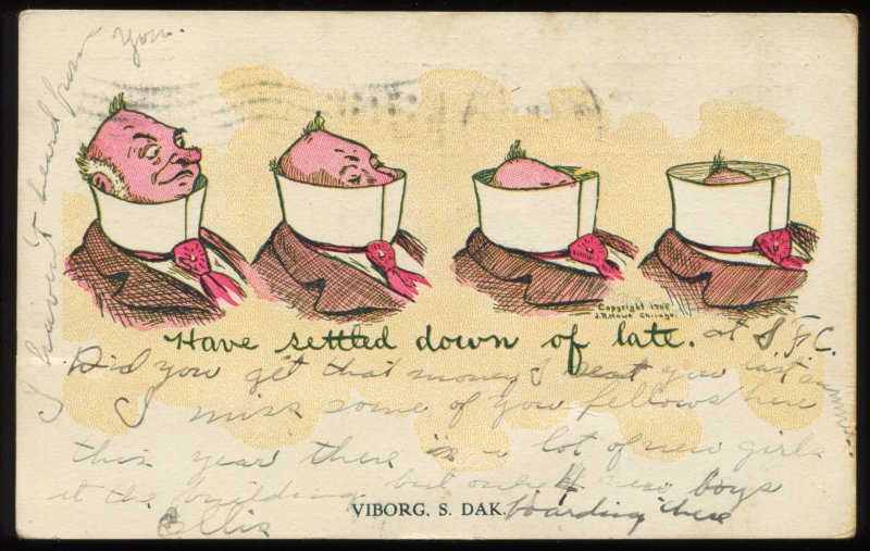 Have Settled Down of Late. Viborg, SD. 1906 undivided back comic postcard