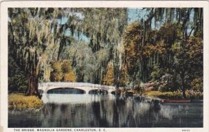 The Bridge Magnolia Gardens Charleston South Carolina