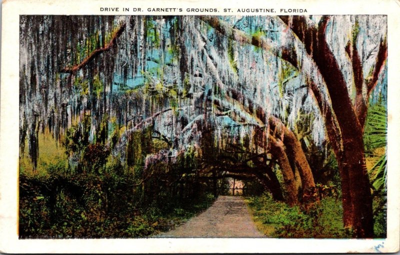 Florida St Augustine Drive In Dr Garnett's Grounds