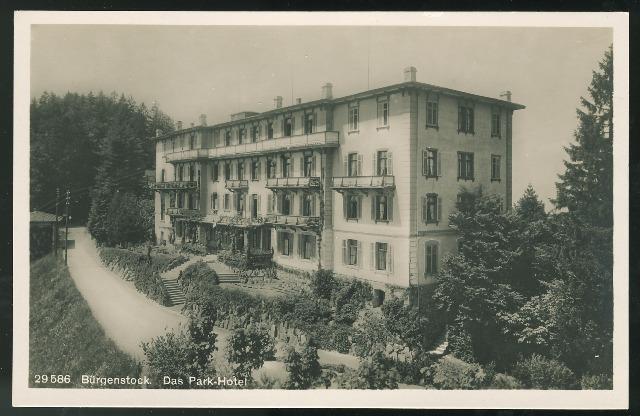 Switzerland Lake Luzerne Burgenstock Resort Alps Das Park Hotel RP Postcard