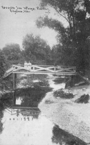 Elgin Illinois~Wing Park Brook~Victorian Girls on Rustic Bridge~CU Williams~1908