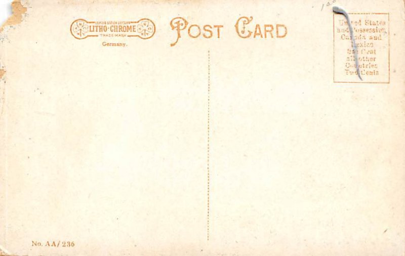 Sur Bear Baby Cheyenne Indian View Images