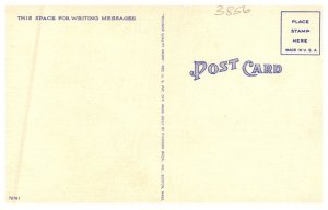 I wanna go Piggy back , Skinny man , BIGGGGG Woman