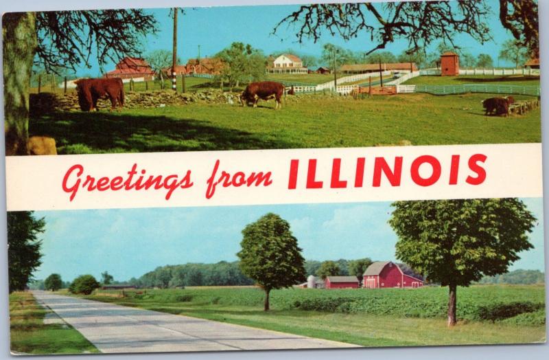 postcard Greetings from Illinois multiview farmland with cows