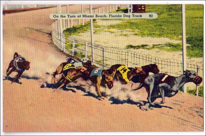 Florida Dog Track, Miami Beach