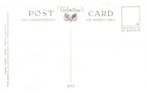 Dog ,   First With the News