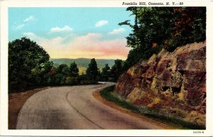 Postcard NY Oneonta Franklin Hill