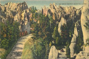 United States South Dakota scenic the Needles Highway Black Hills