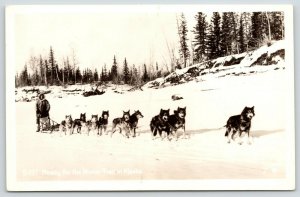 Alaska~9 Huskies Dog Sled Team Ready For The Winter Trail~S-177~1940s RPPC 