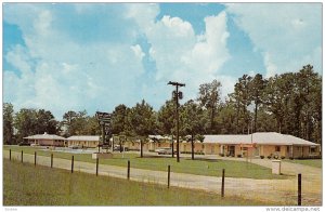 Swimming Pool, Town and Country Motel, US 301, FAYETTEVILLE, North Carolina, ...