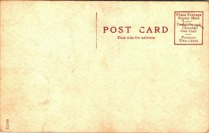 R G Peters Salt & Lumber Company Manistee Michigan MI UNP 1910s DB Postcard