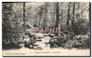 Old Postcard Bagneres de Bigorre Sous Bois