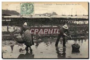 VINTAGE POSTCARD Cancale Collecting of Oysters in a Park Ost