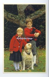 r2597 - Lord Fedrick and Lady Gabriella Windsor : Royal Children - postcard