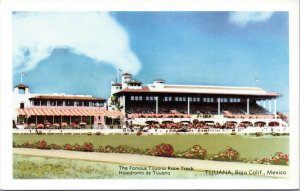 postcard Tijuana Mexico  - The Famous Tijuana Race Track