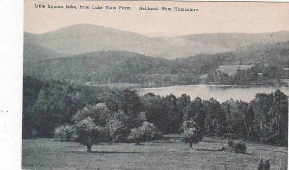 New Hampshire Ashland Little Squam Lake From Lake View Farm Albertype