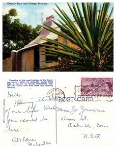 Century Plant and Cottage, Bermuda