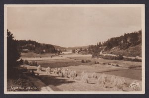Vintage postcard Lillbjarka rural view haystacks farm landscape Sweden